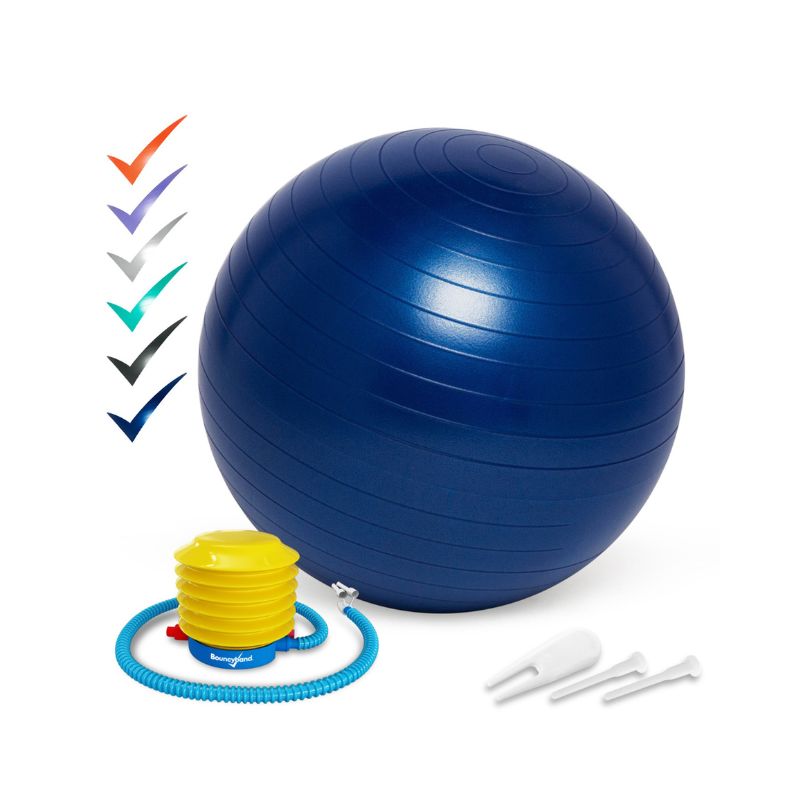 Ballon d'assise dynamique Swiss ball 65cm - Classe Flexible - Jilu