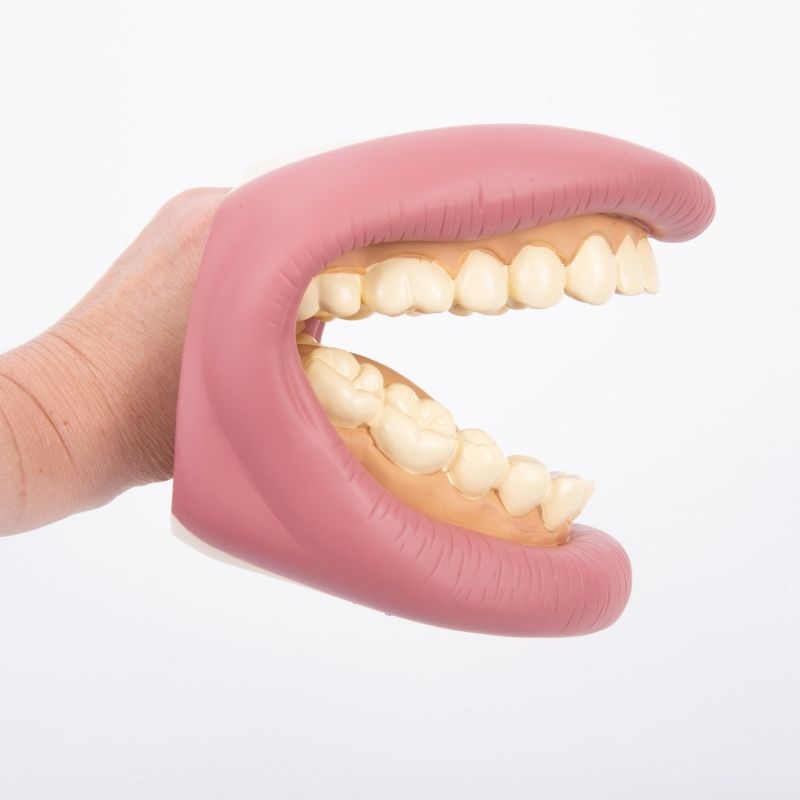 Marionnette à main - Chien avec bouche articulée
