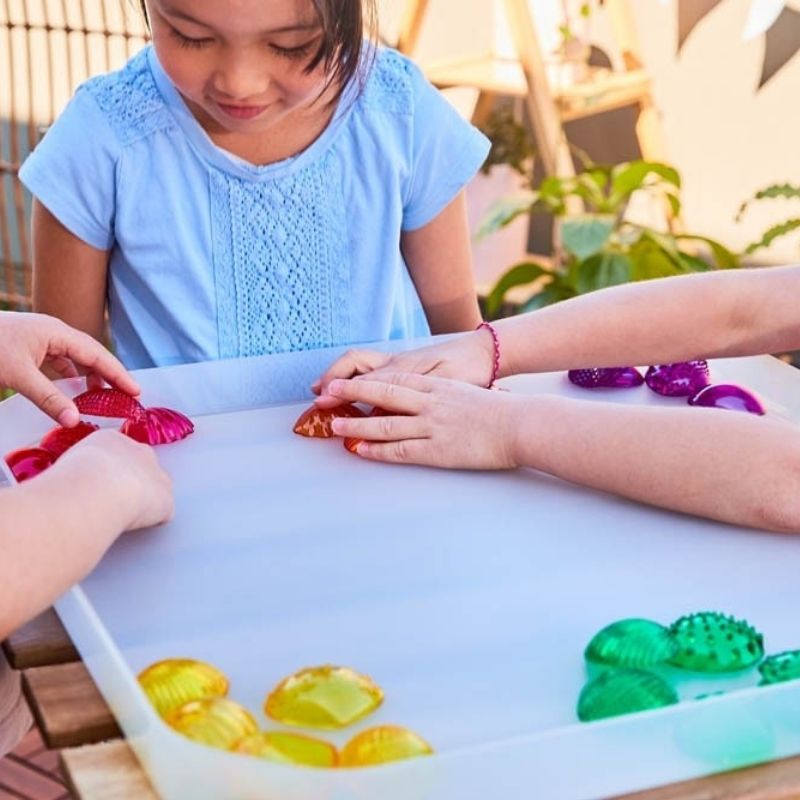 Coquilles sensorielles tactiles transparentes -  Compter Trier Parler